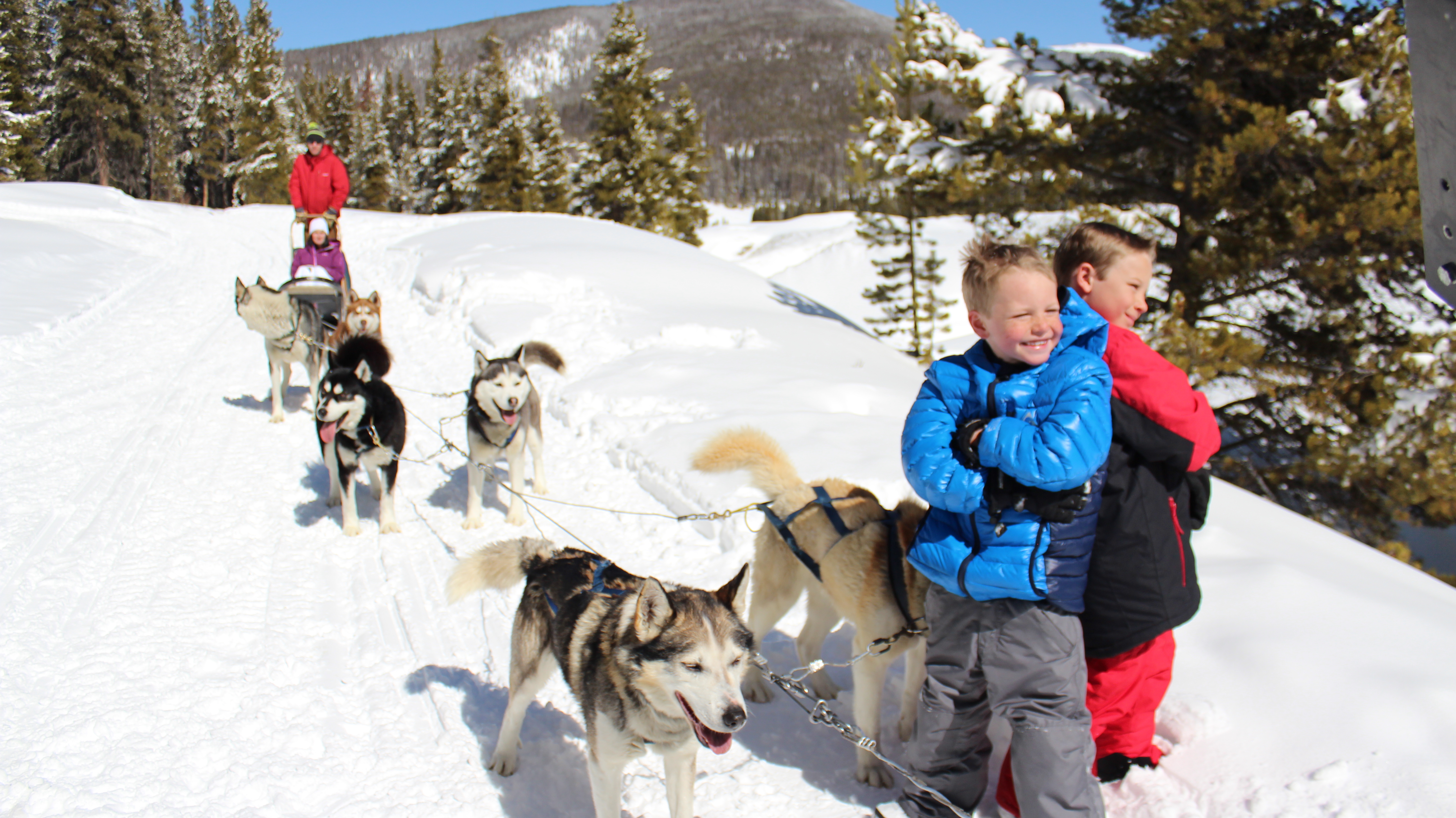 Sled dog adventures in Breckenridge